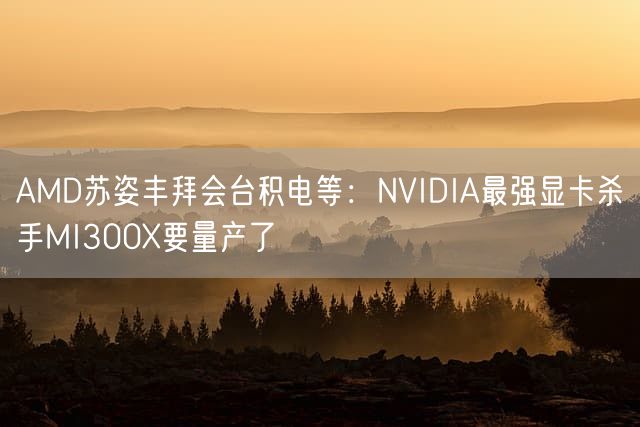 AMD苏姿丰拜会台积电等：NVIDIA最强显卡杀手MI300X要量产了