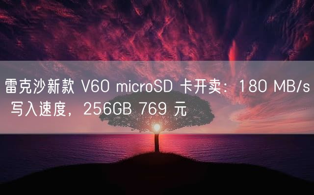 雷克沙新款 V60 microSD 卡开卖：180 MB/s 写入速度，256GB 769 元